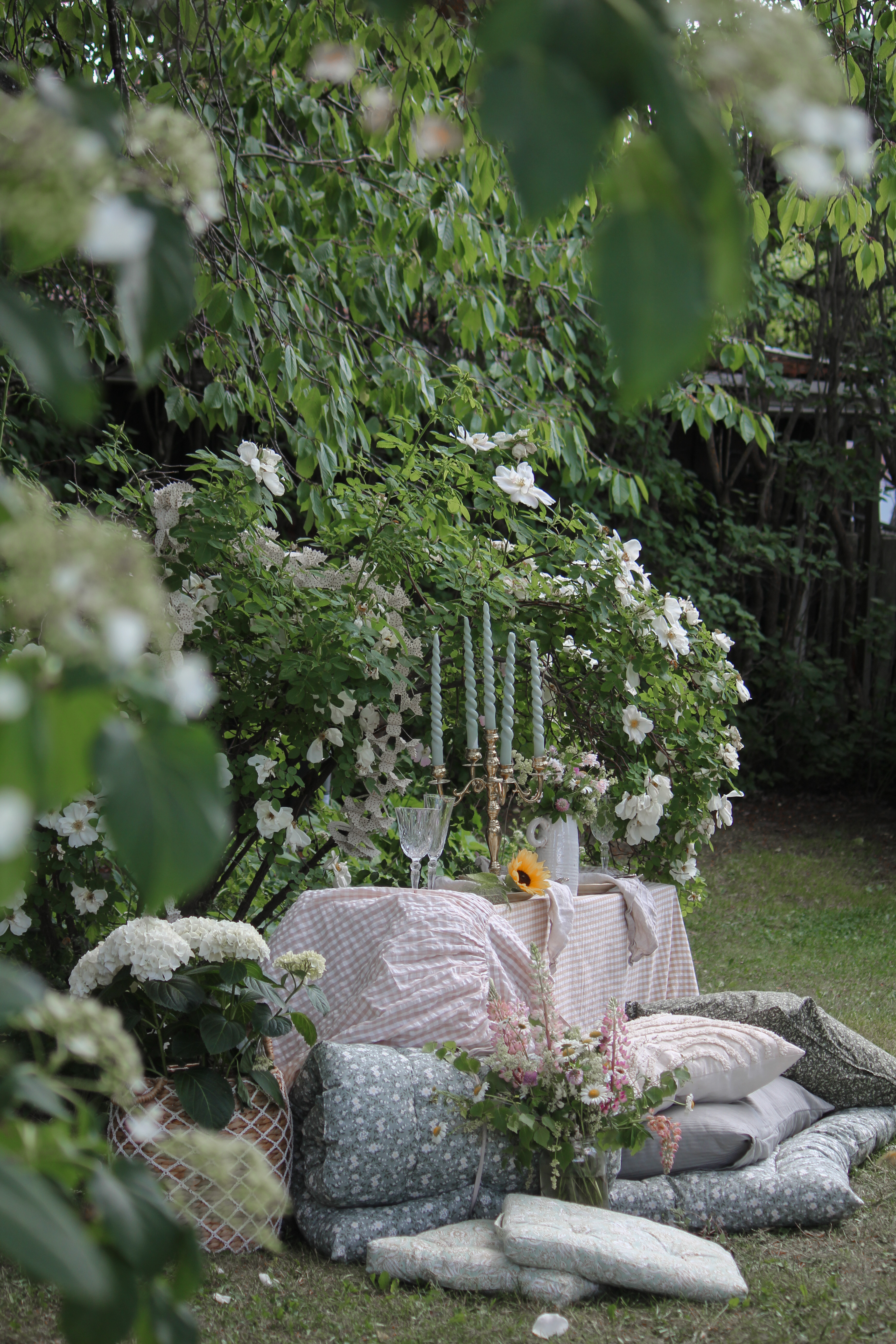 Knäckig rabarberkaka i långpanna och Midsommarfirande